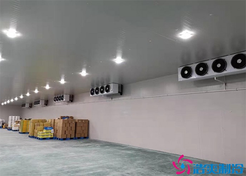 食品速冻黄瓜视频污下载建造特点 食品速冻黄瓜视频污下载建造特点