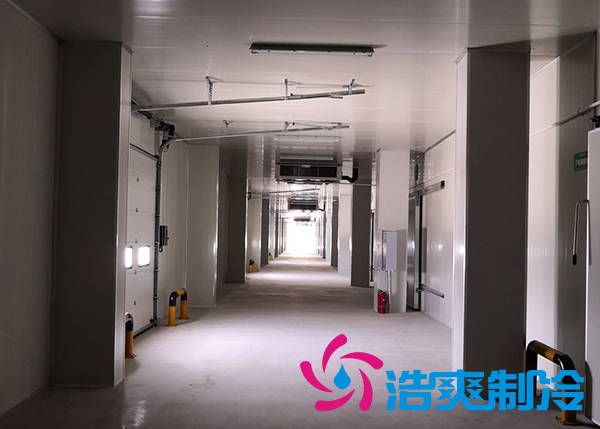 建造一个港口冷链黄瓜视频污下载价格是多少钱？