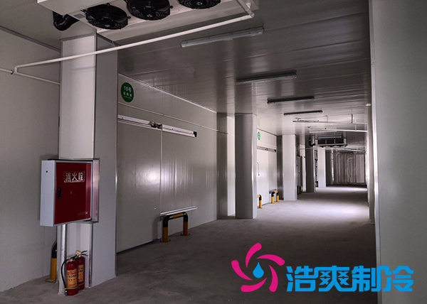 建造一个港口冷链黄瓜视频污下载价格是多少钱？