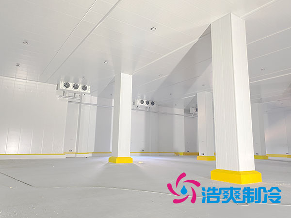 上海低温冷冻库建造厂家-黄瓜视频IOS免费观看版制冷