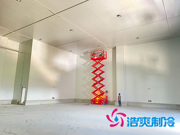 低温冷冻库建造大概多少钱-黄瓜视频IOS免费观看版制冷