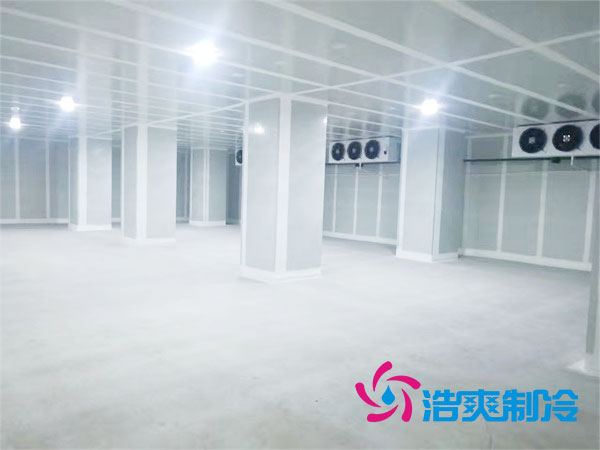 宁夏气调黄瓜视频污下载建造什么价格？-黄瓜视频IOS免费观看版制冷