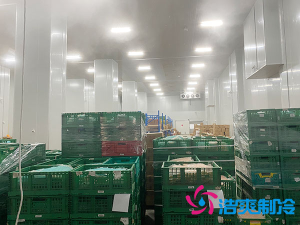 济宁农产品加工储存黄瓜视频污下载多少钱？-黄瓜视频IOS免费观看版制冷