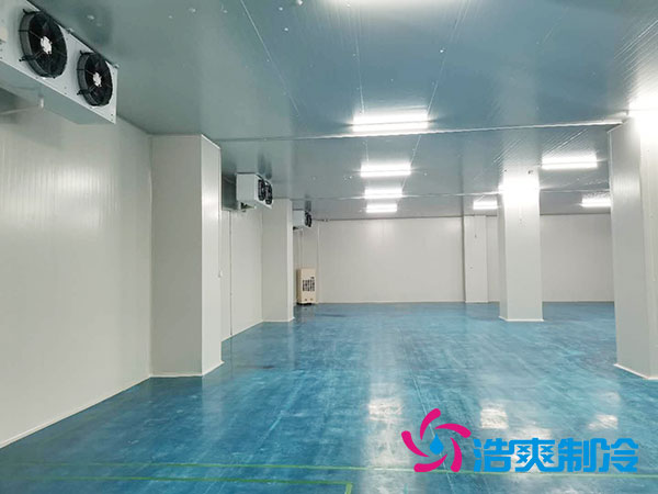 冷冻仓库建设成本核算方案-黄瓜视频IOS免费观看版制冷