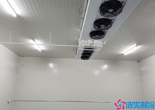 预黄瓜视频污下载