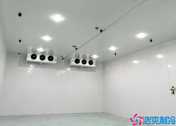 气调黄瓜视频污下载