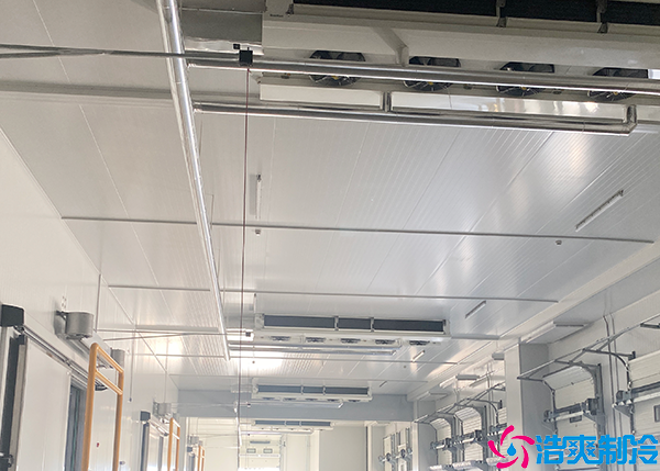 高温黄瓜视频污下载