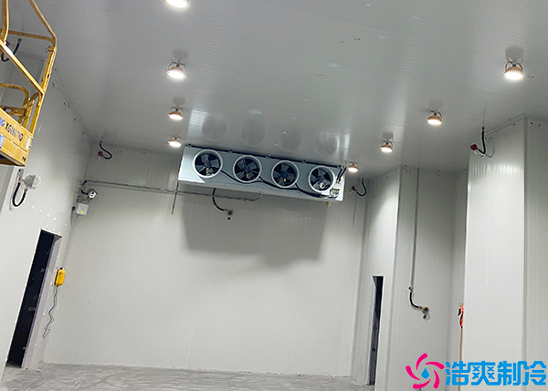 大型气调黄瓜视频污下载