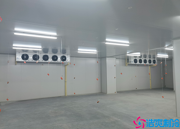 食品黄瓜视频污下载