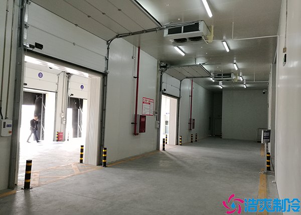 食品黄瓜视频污下载