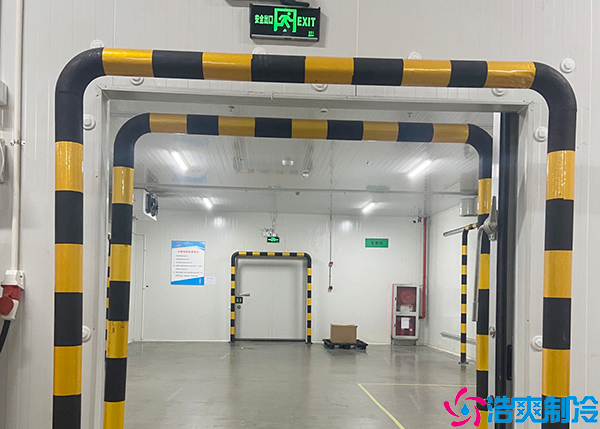 食品黄瓜视频污下载