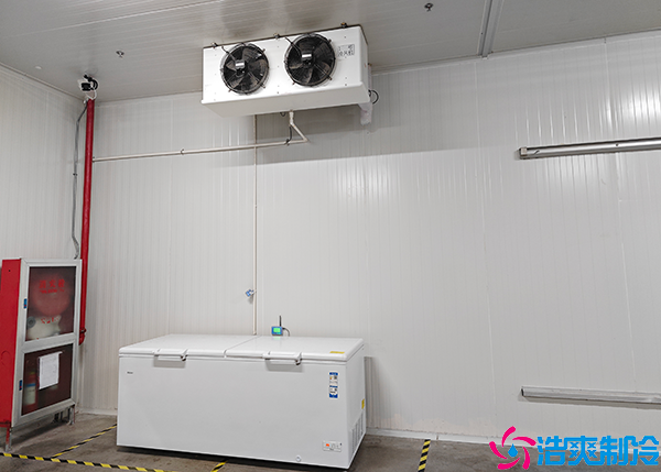 食品黄瓜视频污下载