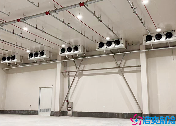 仓储物流黄瓜视频污下载设备