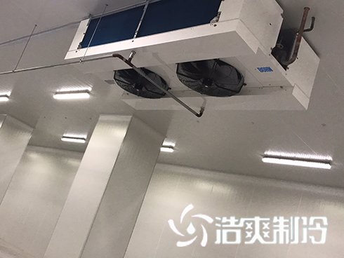 河北周黑鸭新工厂项目1#车间黄瓜视频污下载建造